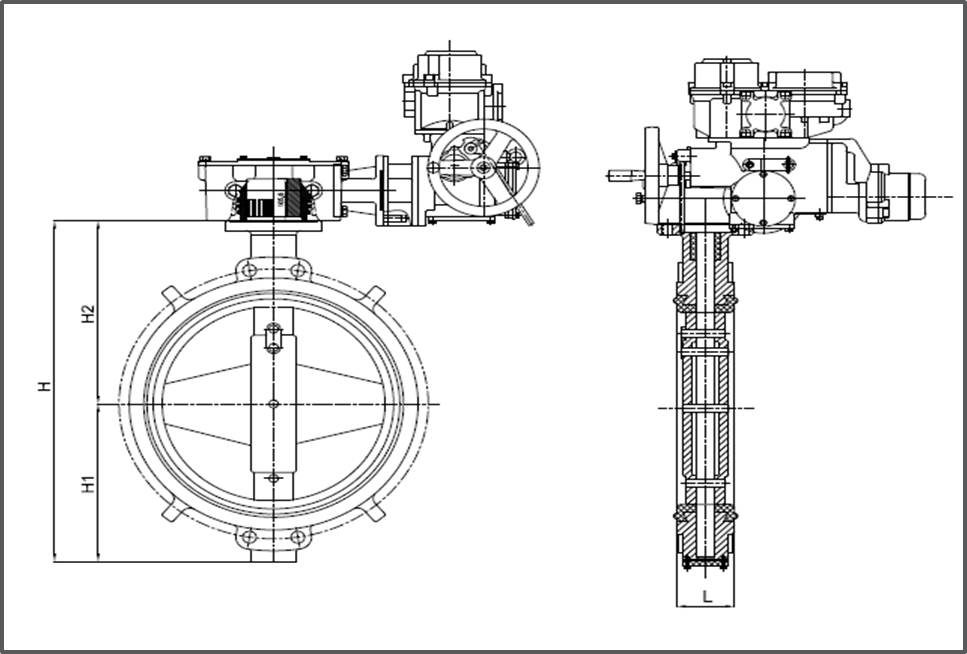 Concentric_Butterfly_Valve_electric